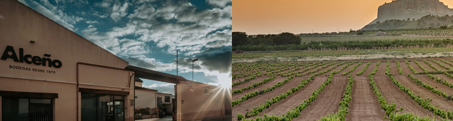 Bodegas Alceño
