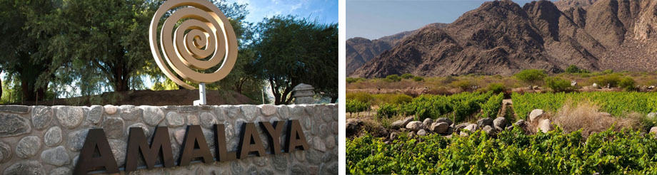 Bodegas Amalaya