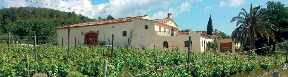 Autócton  Celler
