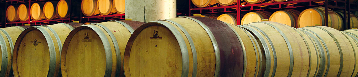 Bodegas Basagoiti