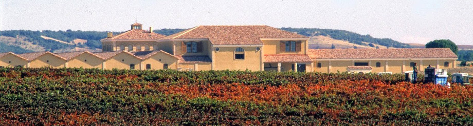 Viñedos y Bodegas Áster