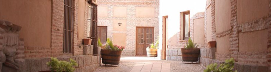 Javier Sanz Viticultor