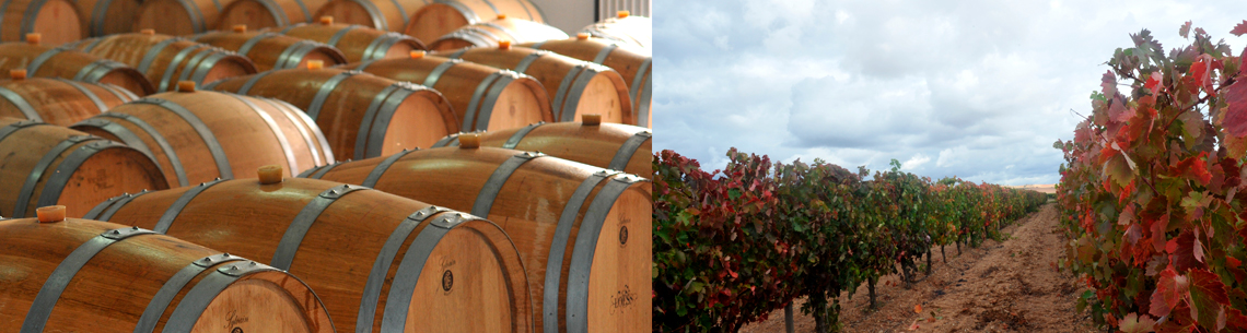Loess Vinos S.L.