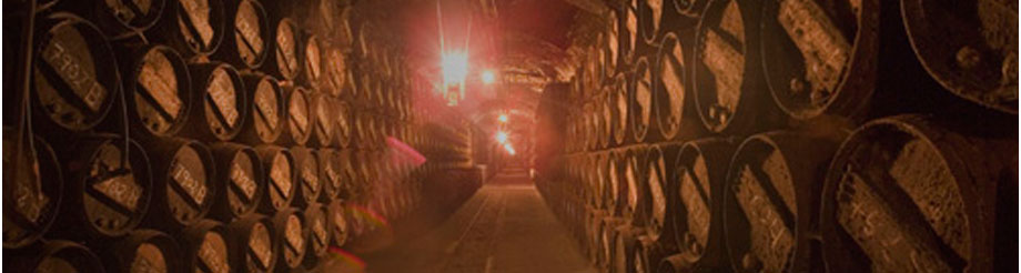 R. López de Heredia Viña Tondonia