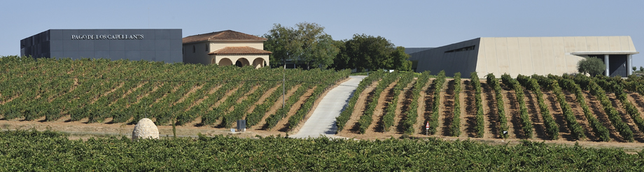 Bodegas Pago de los Capellanes
