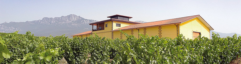 Bodegas Pujanza