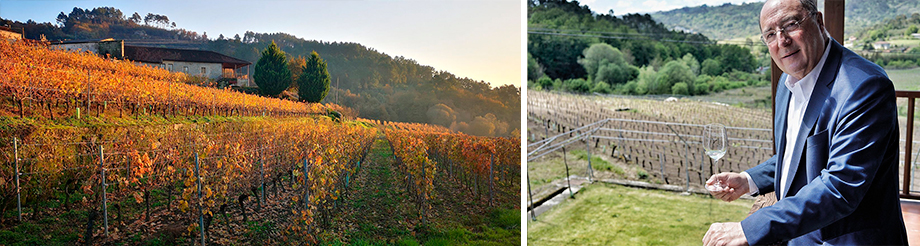 Bodega Sanclodio