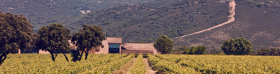 Pago de Vallegarcía