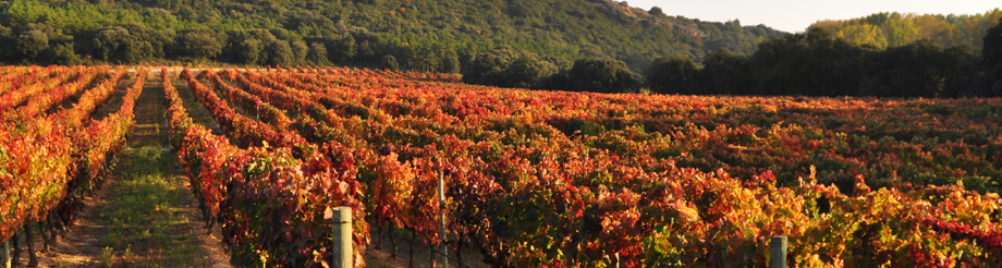 J. Chivite Family Estates