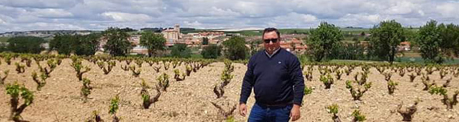 Traslanzas Bodegas y Viñedos