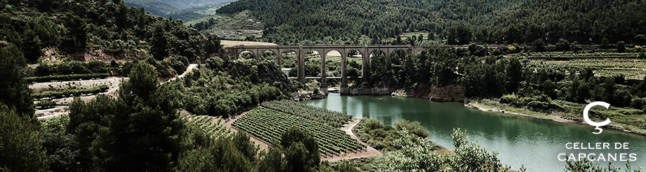 Celler de Capçanes