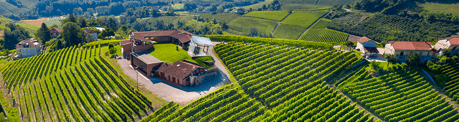 Ceretto Aziende Vitivinicole