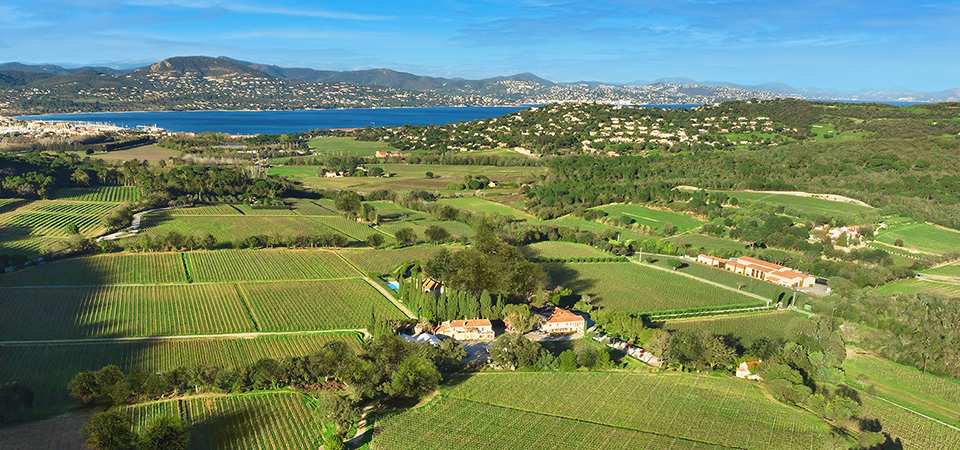 Château Minuty