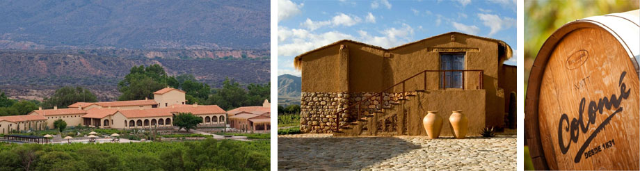 Bodegas Colomé
