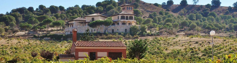 Bodegas Piedra