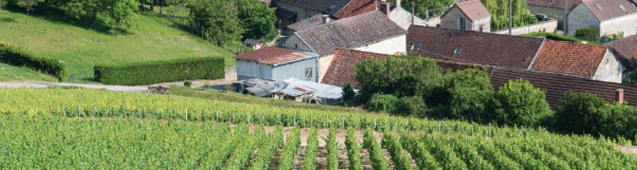 Champagne Gremillet