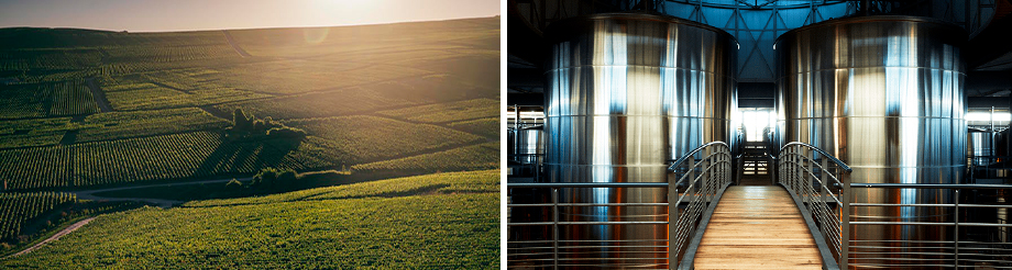 Maison Piper-Heidsieck