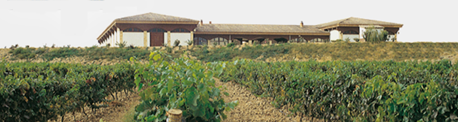 Bodegas Ondarre