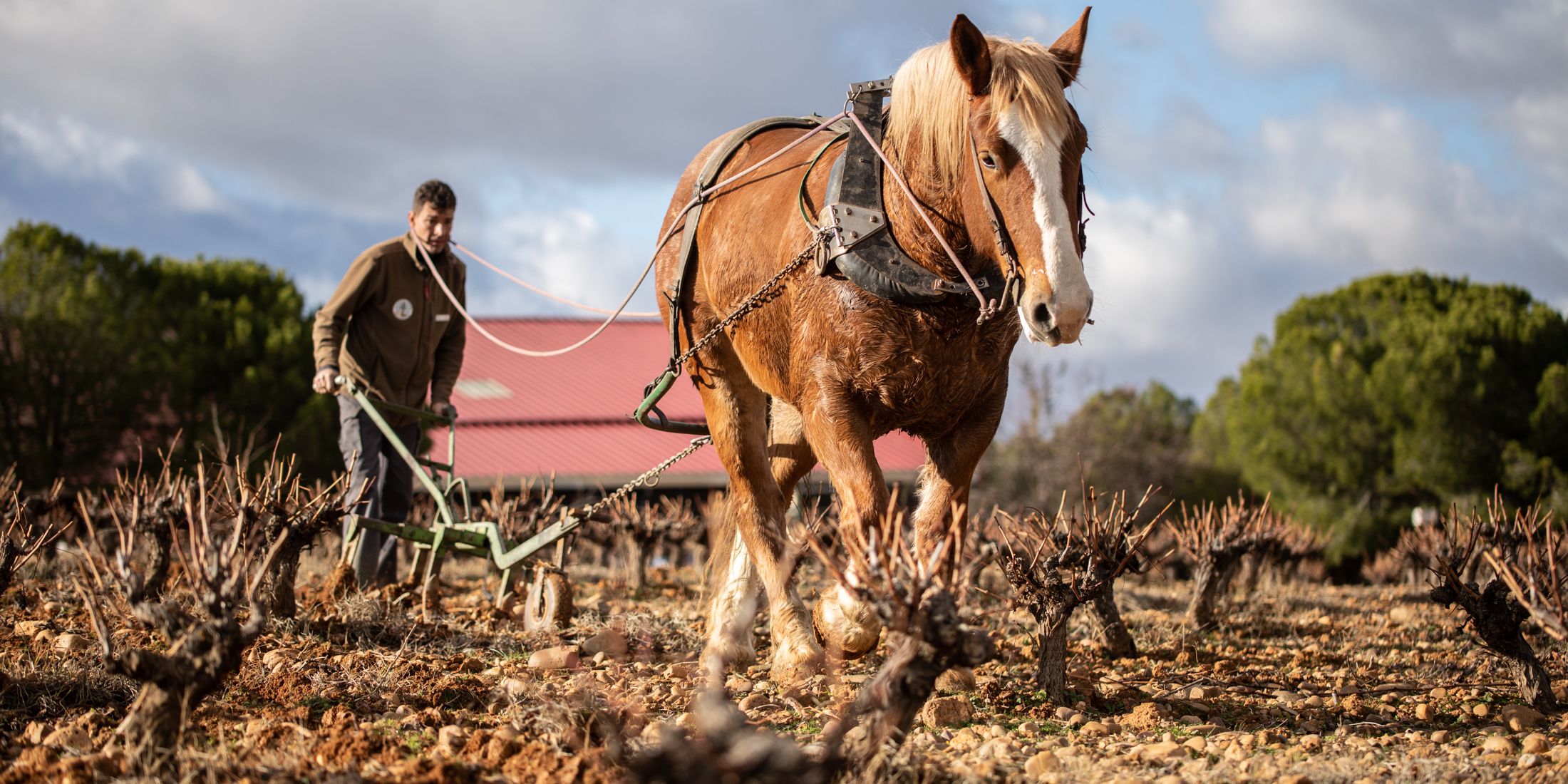Quinta de la Quietud