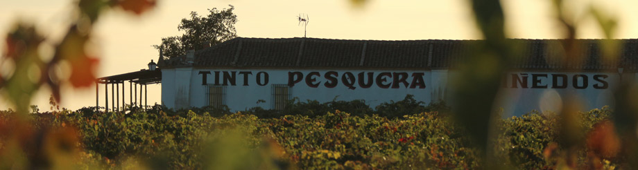 Tinto Pesquera