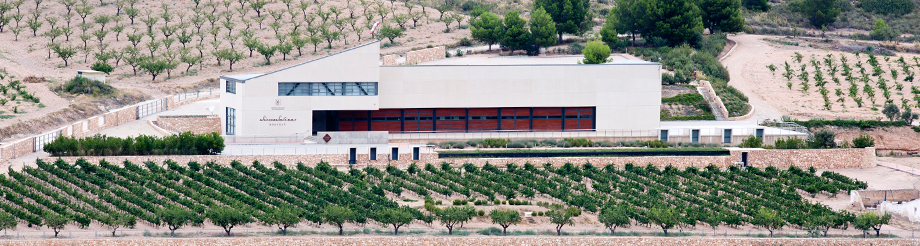 Bodega Sierra Salinas