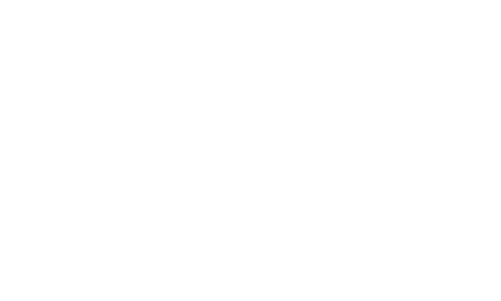 Protos 